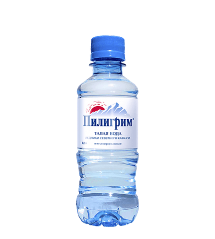 Питьевая вода «Пилигрим» 0,25 л (8 шт/упак)