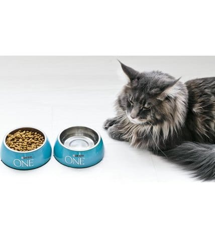 Корм Purina One Sensitive для кошек с чувствительным пищеварением индейка-рис 1,5 кг купить