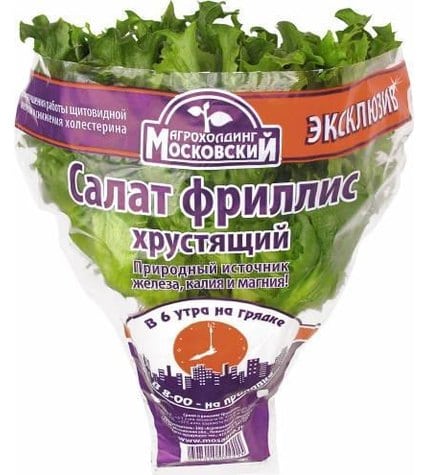 Салат Фриллис горшочек