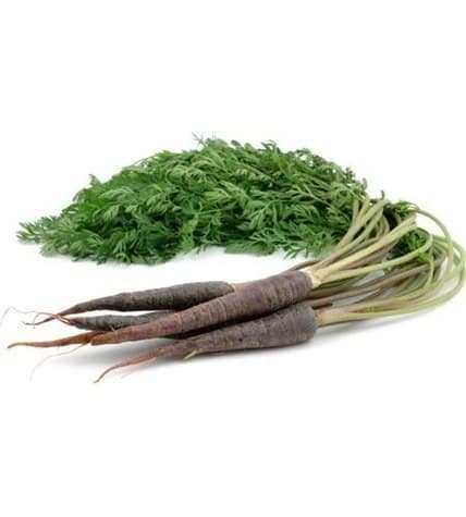 Морковь фиолетовая