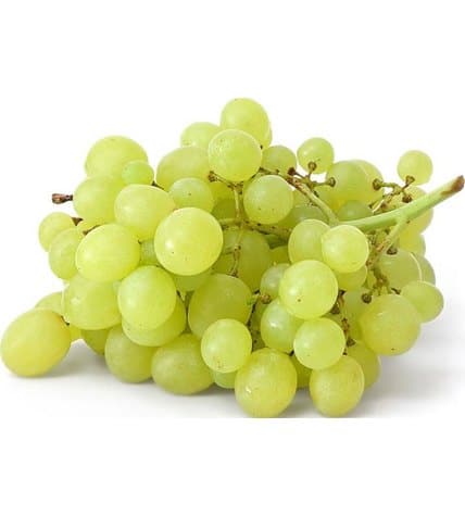 Виноград белый без косточек