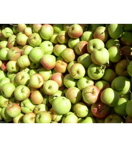 Яблоки зеленые