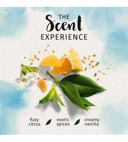 Шампунь Herbal Essences Марокканское аргановое масло 400 мл купить в Москве