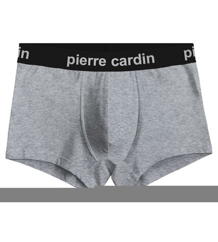 Трусы мужские Pierre Cardin боксеры 00003 серый 46/48 размер