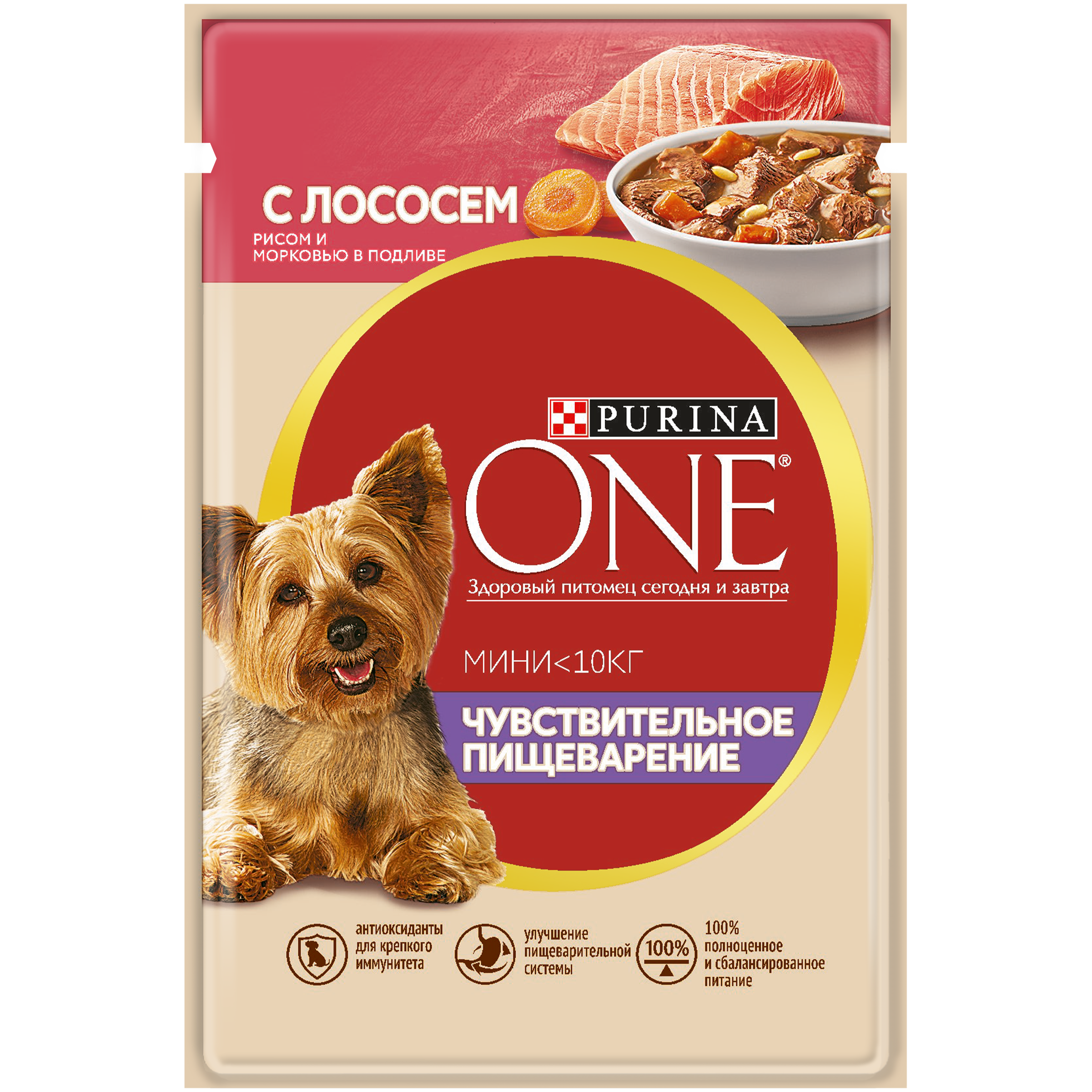 Корм собак purina купить. Пурина уан корм для собак. Пурина Ван для собак с лососем. Purina one корм для собак пауч 85г.. Пурина Ван для собак влажный корм.